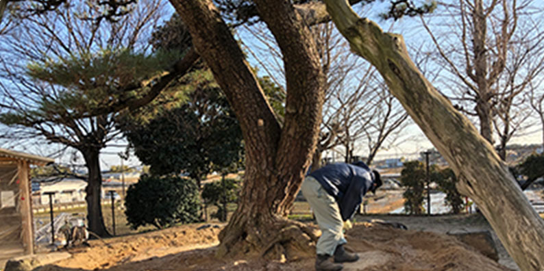 樹木の剪定・メンテナンス